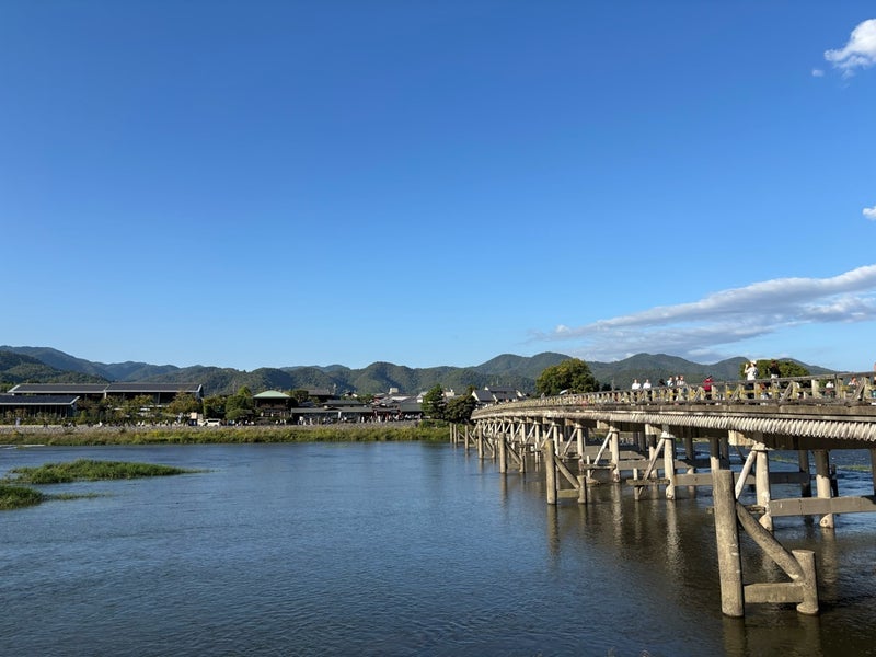 目まぐるしい季節の移り変わりにも動じない