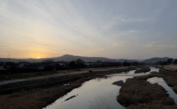 変わっていないようで、確実に変化している